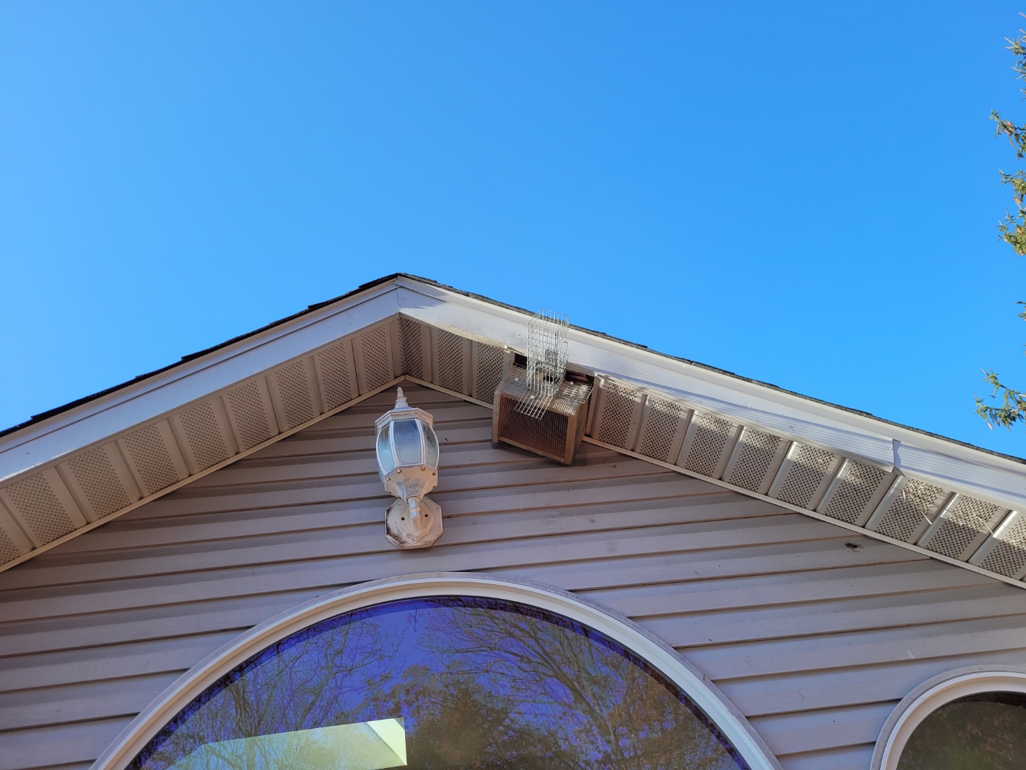 Wildlife Exclusion Services